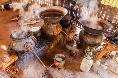 Bir palm şarap Myanmar damıtma