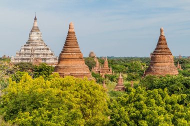 Bagan tapınaklar, Myanmar manzarası. Shwesandaw pagoda soldaki.