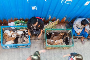 Yangon, Myanmar - 16 Aralık 2016: Kukla merkezi Yangon Satılık.
