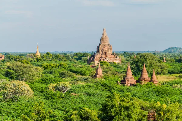 Skyline Van Bagan Tempels Myanmar — Stockfoto