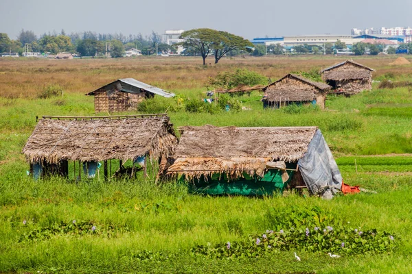 Fields Houses Suburbs Yangon Myanmar — Stock Photo, Image