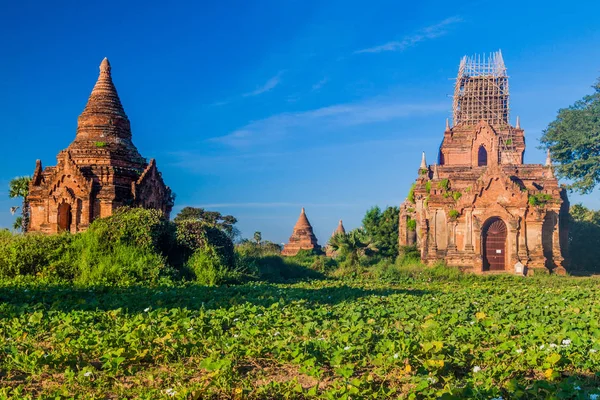 Fileira Templos Pequenos Bagan Myanmar — Fotografia de Stock