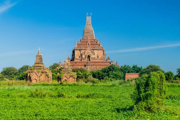 Boluthi Templet Bagan Myanmar — Stockfoto