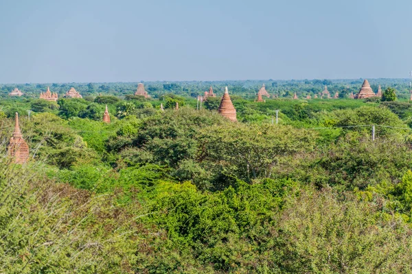 Skyline Des Temples Bagan Myanmar — Photo