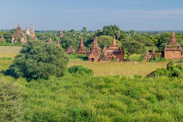 Rij Van Kleine Tempels Bagan Myanmar — Stockfoto