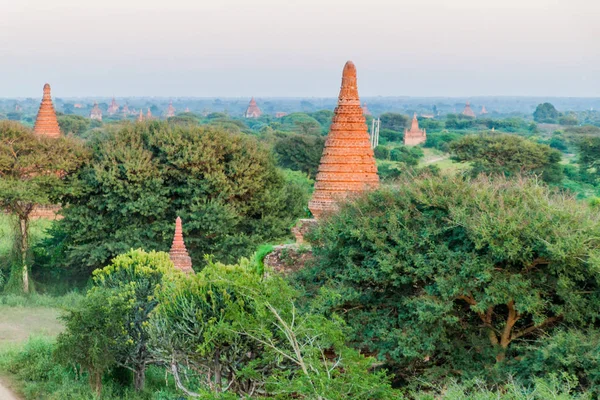 Skyline Templos Bagan Myanmar —  Fotos de Stock