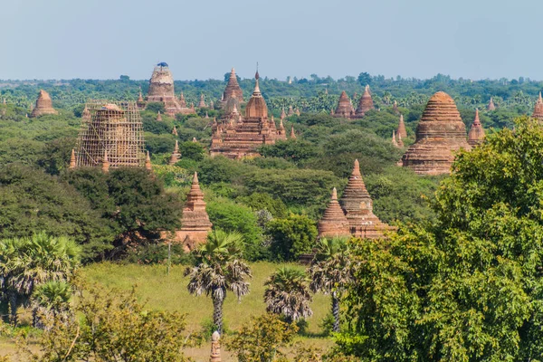 Skyline Bagan Temples Myanmar Uno Los Templos Está Bajo Andamiaje — Foto de Stock