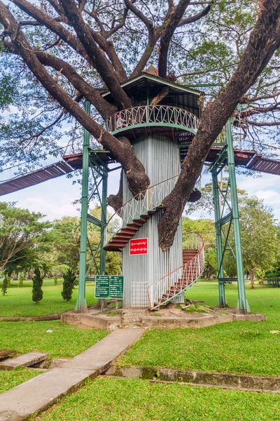 Torre Árboles Puentes Colgantes Parque Del Pueblo Yangón Myanmar — Foto de Stock