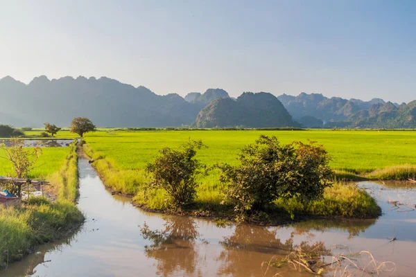 Rijstvelden Buurt Van Saddan Grot Buurt Van Hpa Myanmar — Stockfoto