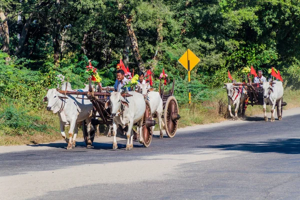 Bagan Myanmar December 2016 Zebu Pulled Carts Road Bagan Myanmar — Stock Photo, Image