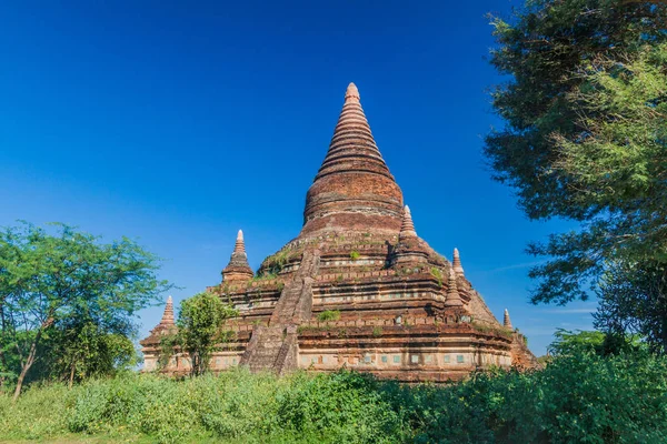Überwucherte Pagode Bagan Myanmar — Stockfoto