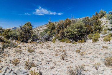 Hacer Dağları Manzarası, Umman