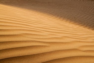 Sharqiya Kumları (Wahiba) Kumları, Umman