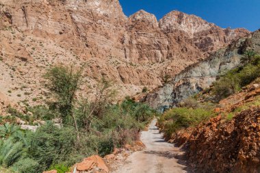 Wadi Tiwi vadisinde Yol, Umman