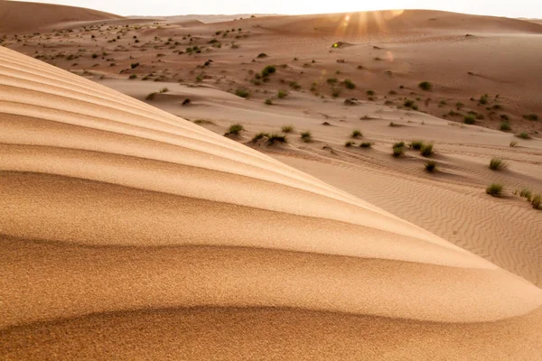 Dune Sabbia Sharqiya Wahiba Sands Oman — Foto Stock