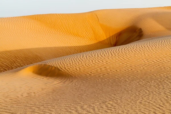シャルキヤ ワヒバ 砂の砂丘 オマーン — ストック写真