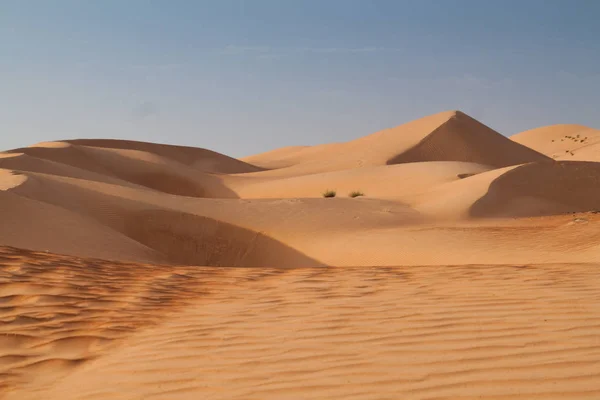 Песчаные Дюны Шаркии Вахиба Сэндс Оман — стоковое фото