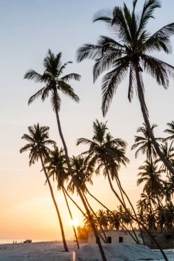 Salalah, Umman'da plajda gün batımı