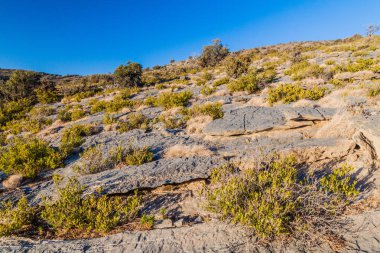 Hacer Dağları Manzarası, Umman