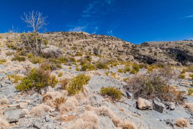 Hacer Dağları Manzarası, Umman