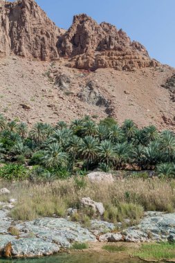 Wadi Tiwi vadisi, Umman