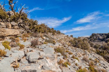 Hacer Dağları Manzarası, Umman. Umman'ın en yüksek dağı olan Jebel Shams'a yürüyüş parkurunun işaretleri.