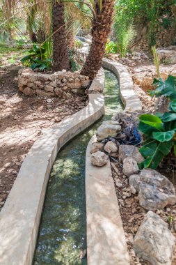 Geleneksel sulama kanalı Wadi Tiwi vadisinde Falaj denilen, Umman