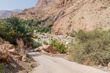 Wadi Tiwi vadisinde Yol, Umman