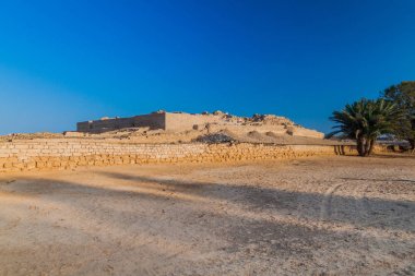 Salalah, Umman'daki Al Baleed arkeolojik sit alanı