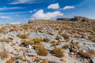 Umman'ın en yüksek dağı olan Jebel Shams yakınlarındaki Hacer Dağları manzarası