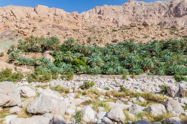 Näkymä Wadi Tiwi Oman — kuvapankkivalokuva