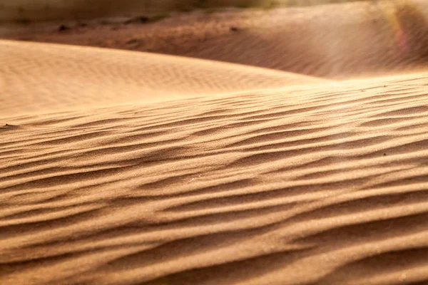 Dunes Wahiba Sands Sharqiya Sands Оман — стоковое фото