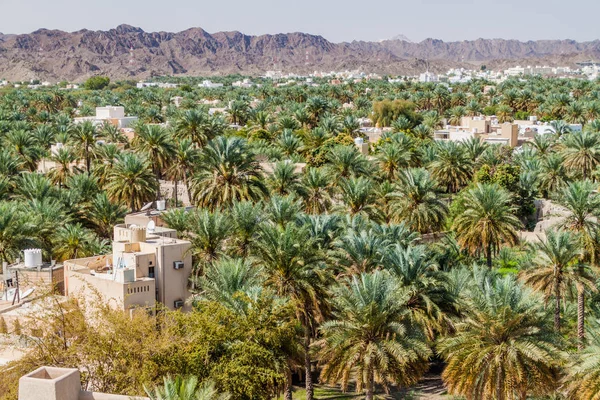 Flygvy Över Nizwa Oman — Stockfoto