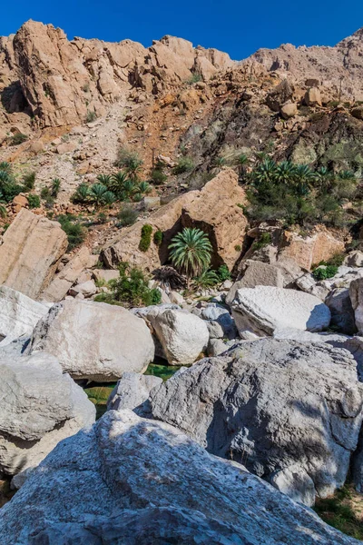 Rochers Massifs Wadi Tiwi Oman — Photo