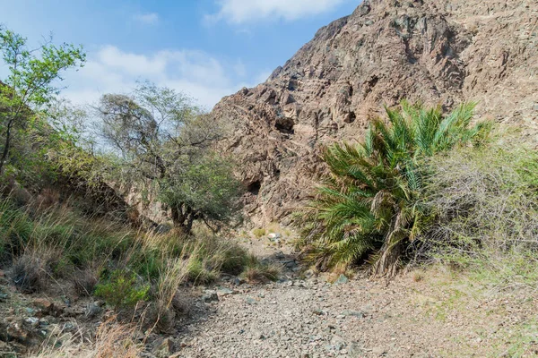 Desolate Hills Buurt Van Muttrah District Van Masqat Oman — Stockfoto