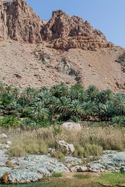 Vale Wadi Tiwi Omã — Fotografia de Stock