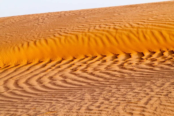 ワヒバ サンドの砂丘 シャルキヤ サンドス オマーン — ストック写真