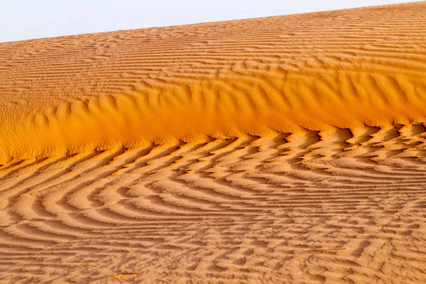 Dunes Wahiba Sands Sharqiya Sands Оман — стоковое фото