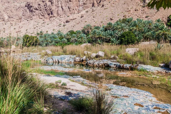 Creek Wadi Tiwi Valley Oman — Stock Photo, Image