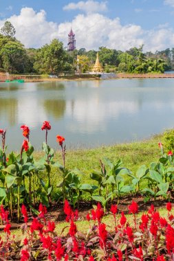 Pyin Oo Lwin, Myanmar Ulusal Kandawgyi Botanik bahçelerinde çiçekler ve bir göl