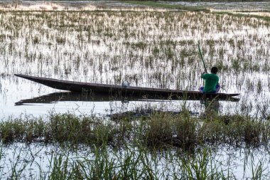 Inle, Myanmar - 27 Kasım 2016: Inle gölünde teknede yerel balıkçı, Myanmar