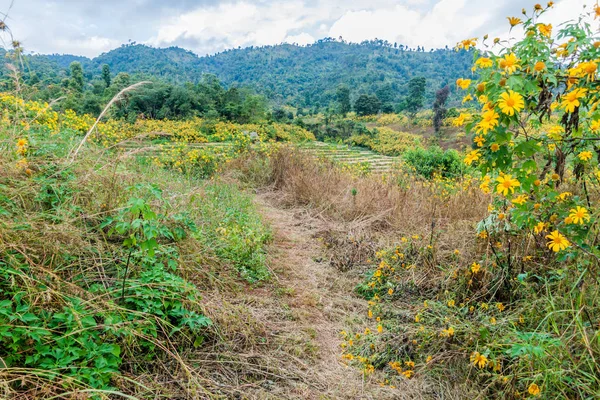 Rural Landscape Hsipaw Myanmar — Stock Photo, Image