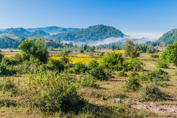 缅甸卡拉瓦和因莱之间的乡村景观 — 图库照片