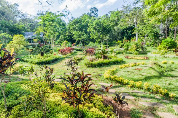 Blick Auf Die Nationalen Kandawgyi Botanischen Gärten Pyin Lwin Myanmar — Stockfoto