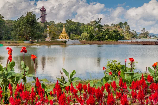 Bloemen Een Meer Nationale Botanische Tuinen Van Kandawgyi Pyin Lwin — Stockfoto