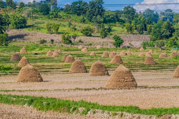 Rural landscape with rice straw stacks near Hsipaw, Myanmar