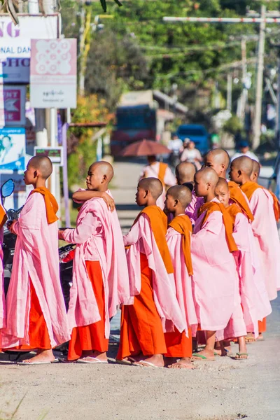 Nyaungshwe Myanmar Listopada 2016 Młode Zakonnice Buddyjskie Idą Rano Jałmuż — Zdjęcie stockowe