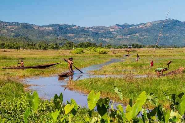 Inle Myanmar Marraskuu 2016 Paikalliset Ihmiset Veneissä Inle Järvi Myanmar — kuvapankkivalokuva