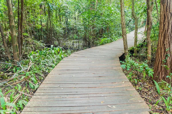 Paseo Marítimo Los Jardines Botánicos Nacionales Kandawgyi Pyin Lwin Myanmar — Foto de Stock