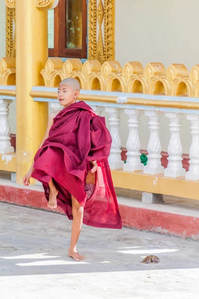 Inle Myanmar Listopad 2016 Buddhistický Začátečník Hraje Alodaw Pauk Pagoda — Stock fotografie
